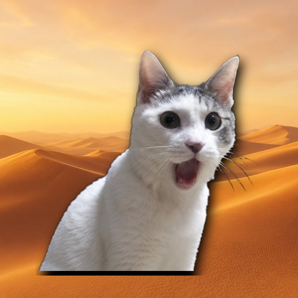OMG Cat reaction 10